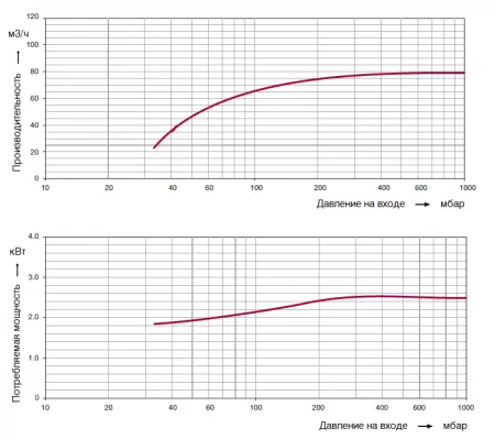 Водокольцевой вакуумный насос Elmo Rietschle 2BV2 070