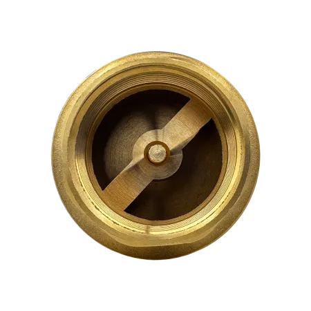 Обратный клапан MAXPUMP 1"