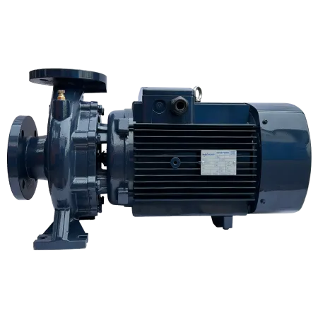 Циркуляционный насос MAXPUMP F 32-160/22