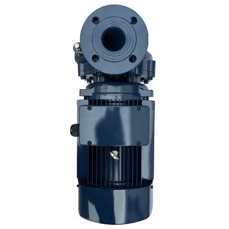 Циркуляционный насос MAXPUMP F 50-200/110