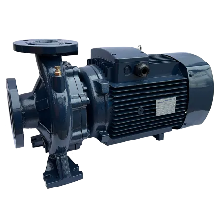 Циркуляционный насос MAXPUMP F 50-160/55