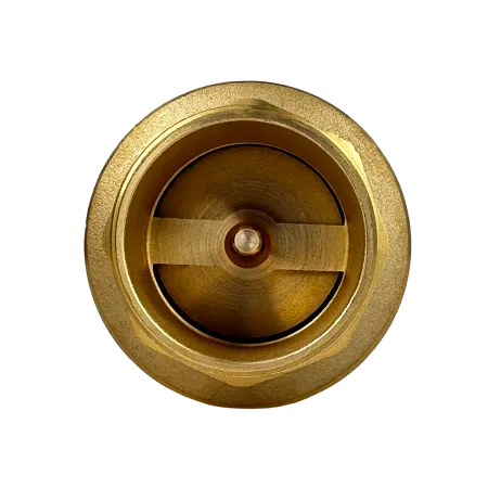 Обратный клапан MAXPUMP 1"