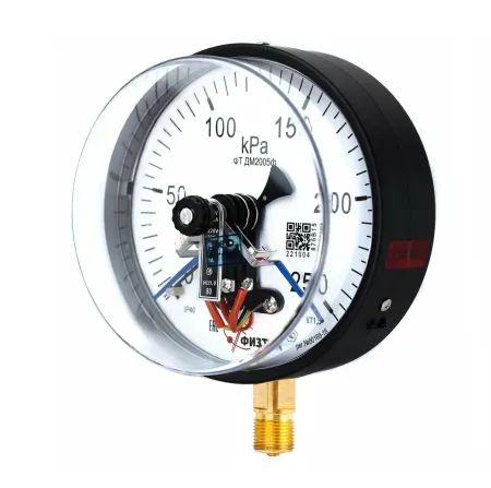 Манометр электроконтактный ФизТех ДМ2010ф 0-250 кПа кл.т.1,5