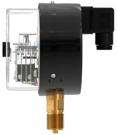 Манометр электроконтактный ФизТех ДМ2010ф 0-600 кПа кл.т.1,5