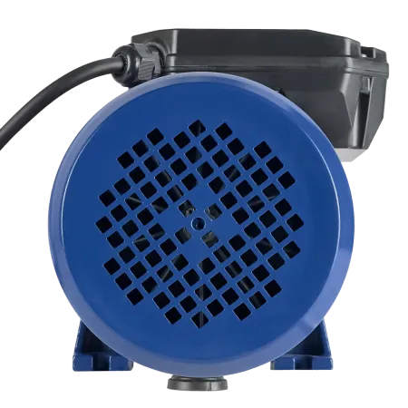 Поверхностный насос MAXPUMP MH 2200D SS Поверхностный насос MAXPUMP MH 2200D SS