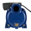 Поверхностный насос MAXPUMP MH 2200D SS Поверхностный насос MAXPUMP MH 2200D SS