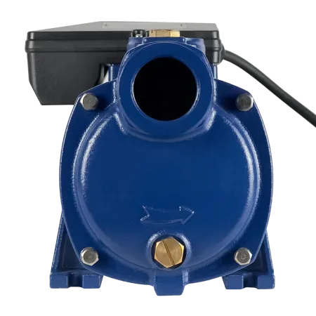 Поверхностный насос MAXPUMP MH 2200D SS Поверхностный насос MAXPUMP MH 2200D SS
