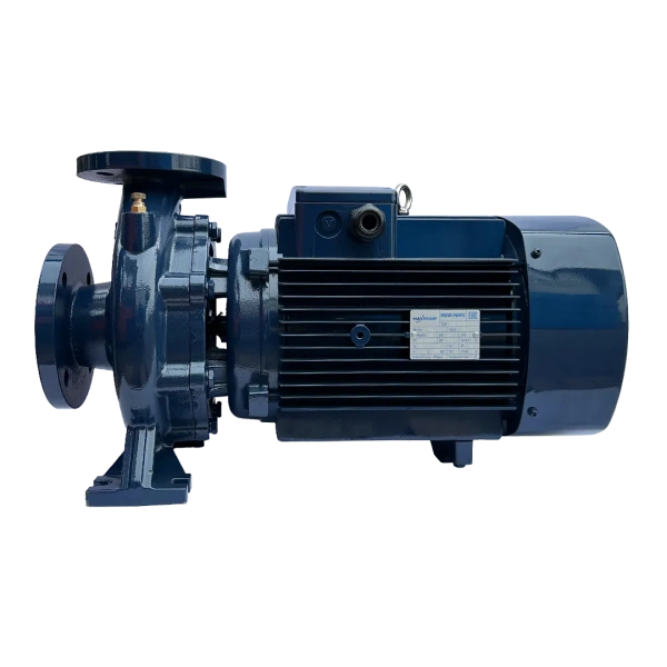 Насос MAXPUMP F 65-250/220