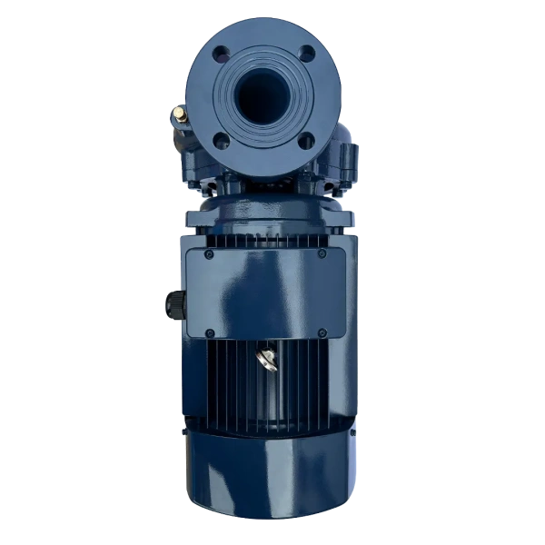 Насос MAXPUMP F 65-250/220